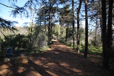 Enlarge photo 12