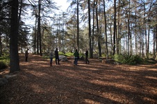 Enlarge photo 13