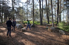 Enlarge photo 14