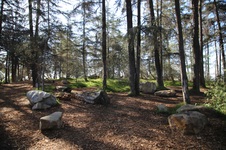 Enlarge photo 15