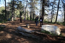 Enlarge photo 17