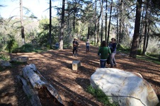 Enlarge photo 18