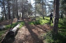 Enlarge photo 20