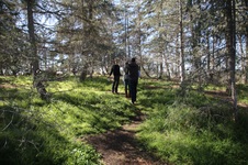 Enlarge photo 21