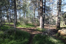 Enlarge photo 22