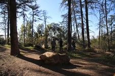 Enlarge photo 25