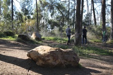 Enlarge photo 26
