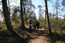 Enlarge photo 27