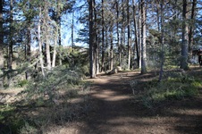 Enlarge photo 28