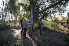 Enlarge photo 30
