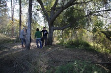 Enlarge photo 31