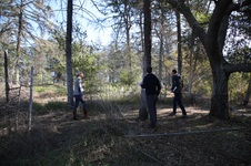 Enlarge photo 32