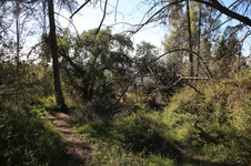 Enlarge photo 34