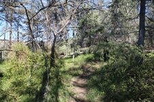 Enlarge photo 35