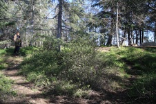 Enlarge photo 36