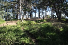 Enlarge photo 37