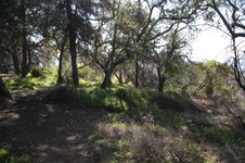 Enlarge photo 38