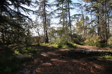 Enlarge photo 39