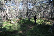 Enlarge photo 43