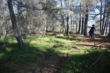 Enlarge photo 45