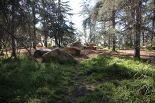 Enlarge photo 46