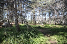 Enlarge photo 47