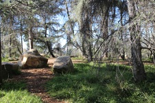 Enlarge photo 48