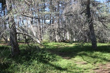 Enlarge photo 49