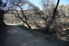 Enlarge photo 6