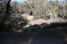 Enlarge photo 7