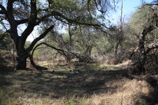 Enlarge photo 11