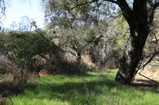 Enlarge photo 17