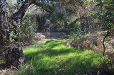 Enlarge photo 18
