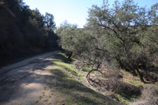 Enlarge photo 19