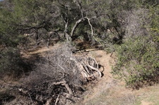 Enlarge photo 21