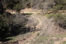 Enlarge photo 24