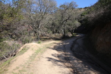 Enlarge photo 25