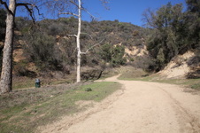 Enlarge photo 26