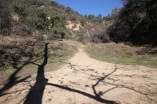 Enlarge photo 28