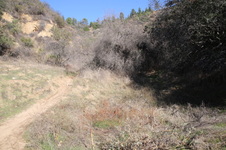 Enlarge photo 30