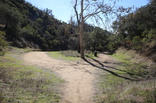 Enlarge photo 31