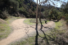 Enlarge photo 33
