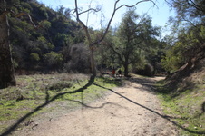 Enlarge photo 34