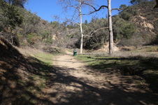 Enlarge photo 35