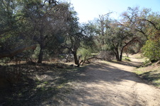Enlarge photo 36
