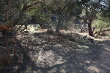 Enlarge photo 37