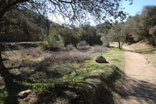 Enlarge photo 38