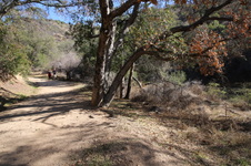 Enlarge photo 39