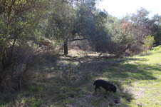 Enlarge photo 40