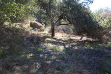 Enlarge photo 41